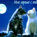 Жанна Аюпова