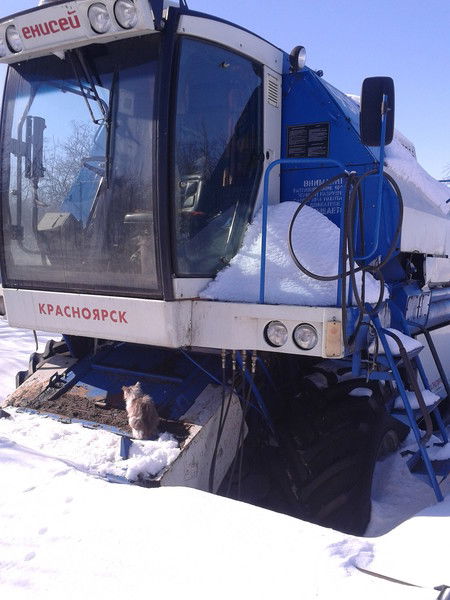 Виноградов Денис