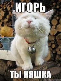 Игорь Румянцев