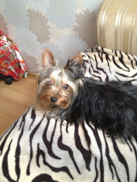 Вера Макарова