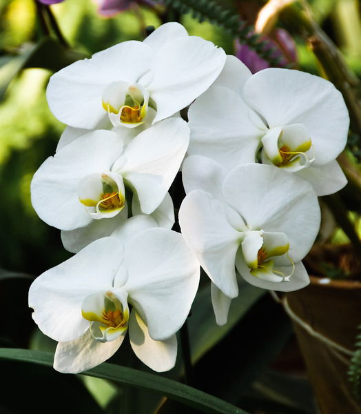 Наталья Щигельская