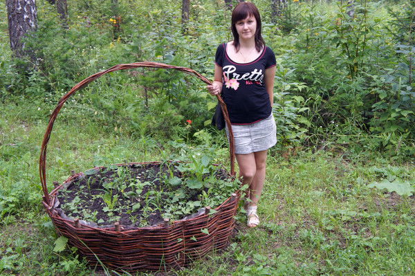 Алёна Тюрина