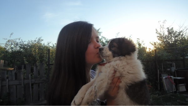 Изольда Челан