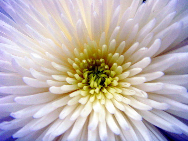 Минавар Накипбекова