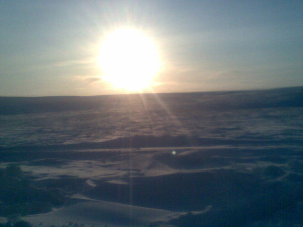 Алексей Рязанцев