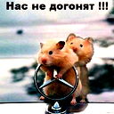 Алексей Карпачёв
