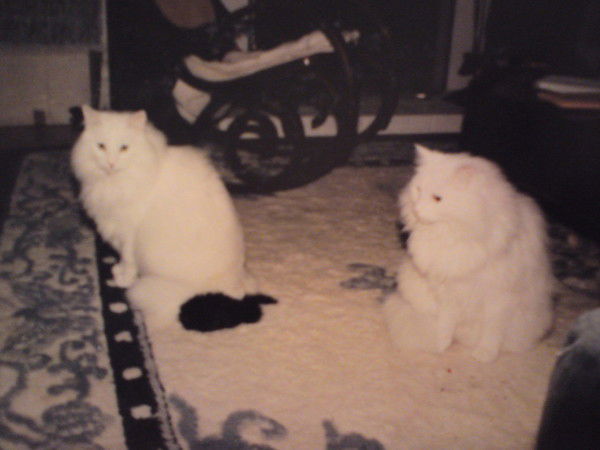 Татьяна Татьяна