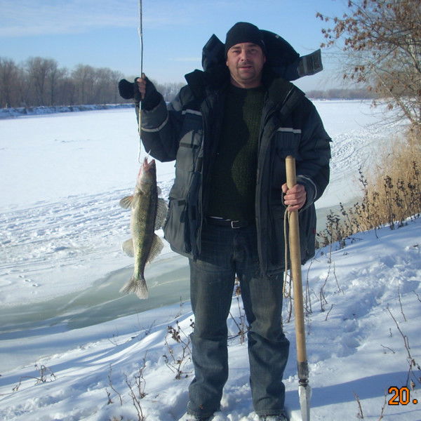 Сергей Голиков
