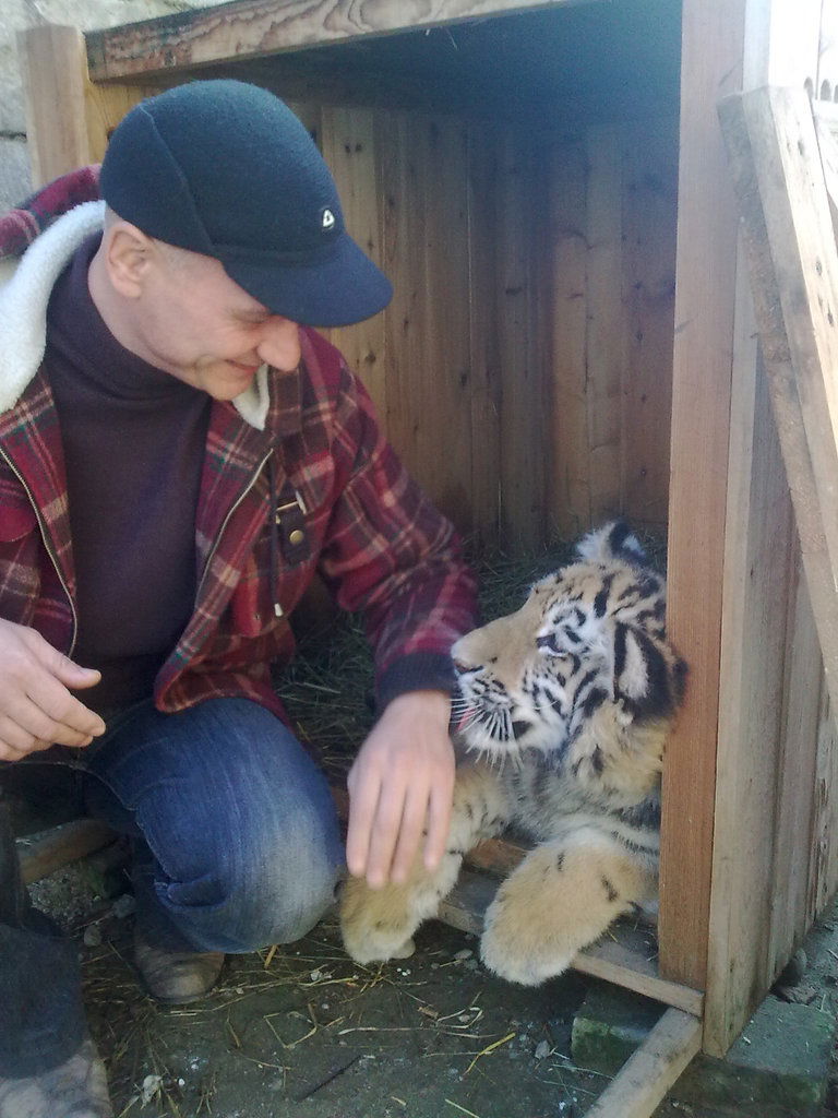 Газали Молов