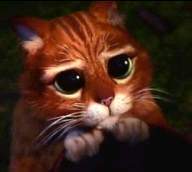 Ильдар Нургалин