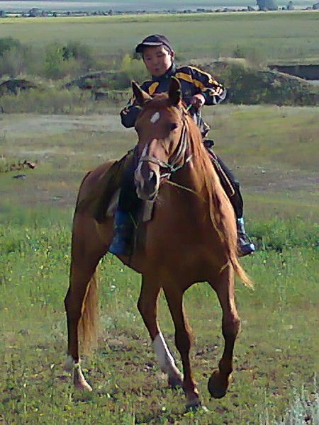 Алдияр Адылбеков