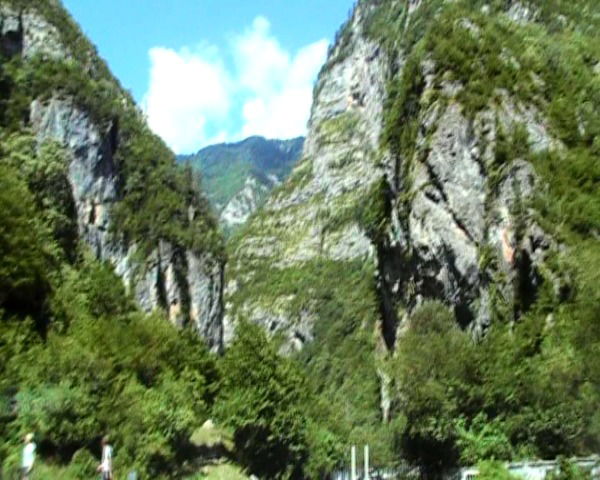 Светлана Лашкина