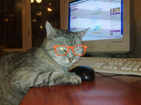 Алла Костенко