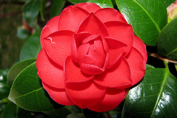 Гульжас Махамбетовна