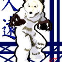 Мяддиб Кот