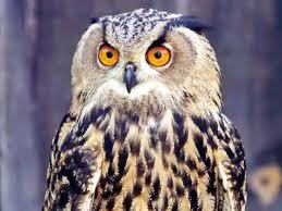 Екатерина Кавтасьева