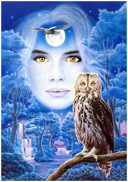 Екатерина Швец