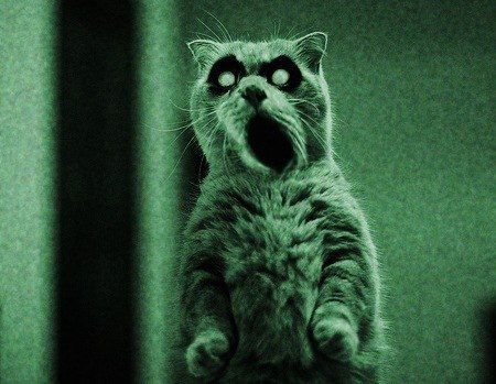 Владимир Швецов