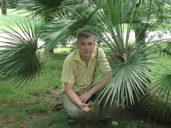 Андрей Алексеев