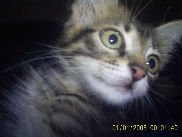 Наталья Сеимова