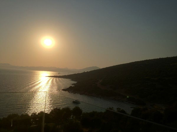 Флюра Шарифуллина