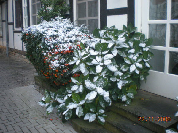 Анна Балахнина