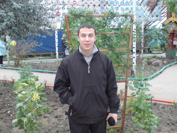 Михаил Соловьёв