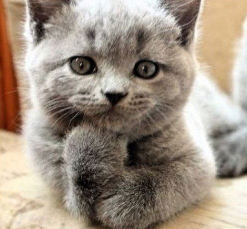 Владимир Нагибин