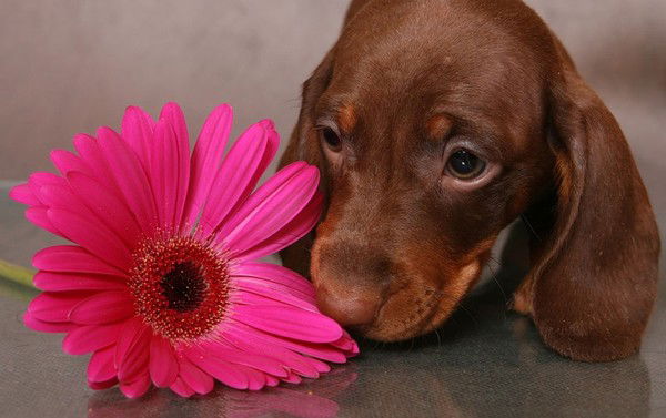 Татьяна Барабанова