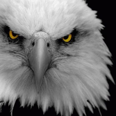 Максим Лянтор