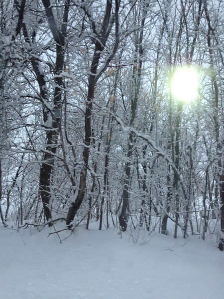 Kuralay Kassymbekova