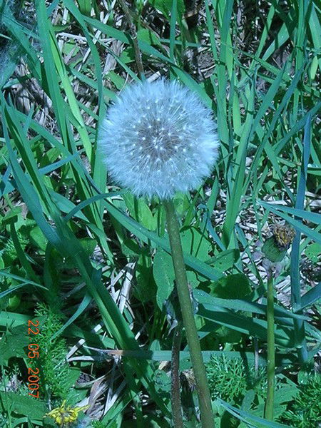 Евгений Леушкин