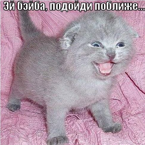 Территория Любви Моей И Твоей