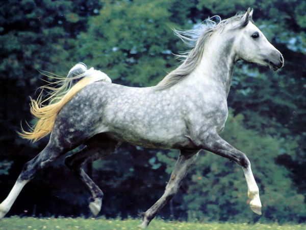 Мария Катышева