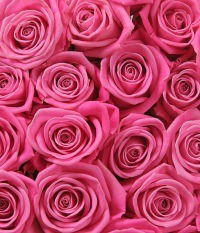 Алена Голубовская