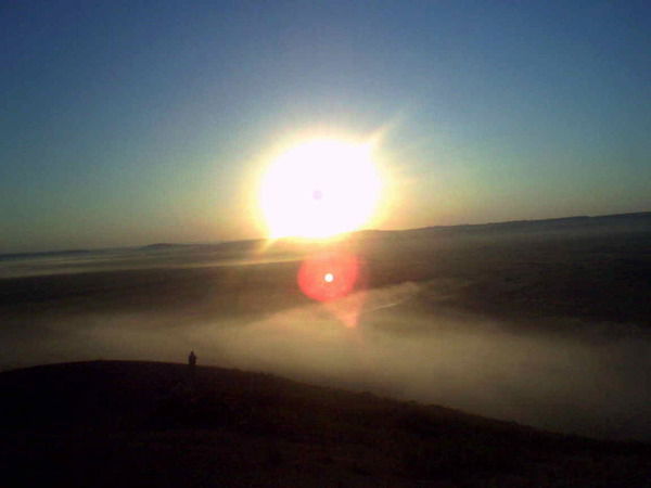 Наталья Бор