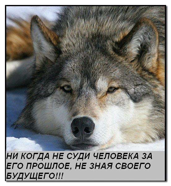 Самал Мусагулова