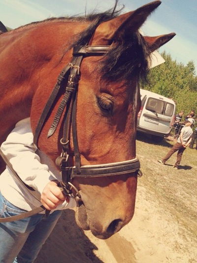 Анастасия Осипова