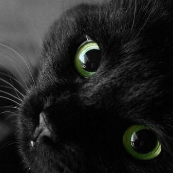 Дарья Гильманова