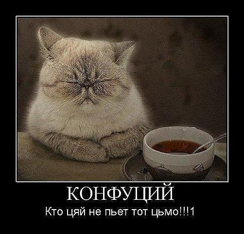 Вадим Мишенев