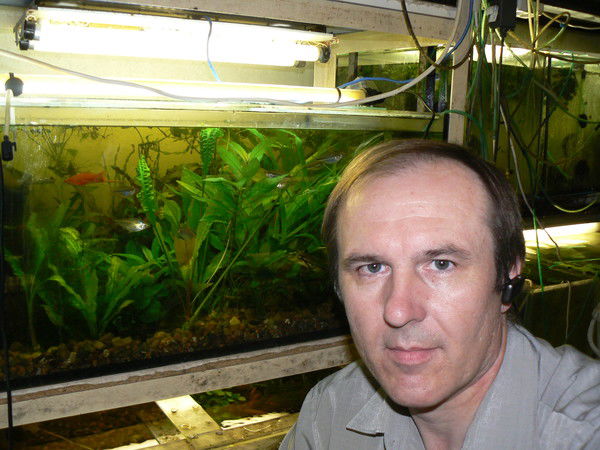 Игорь Прибыльнов