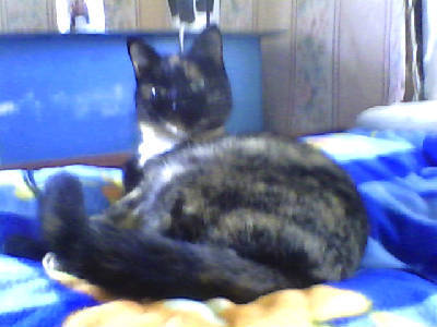 Анастасия Кулакова