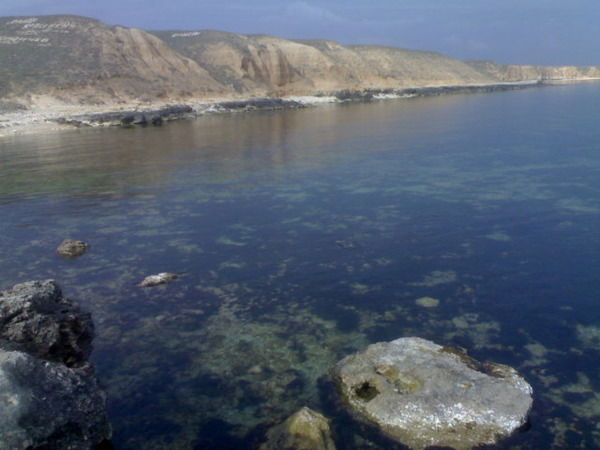 Игорь Ковалев