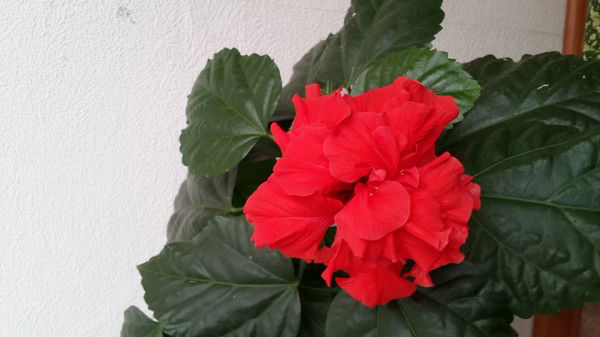 Сауле Акшабакова