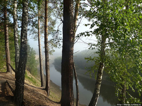 Ася Радужная