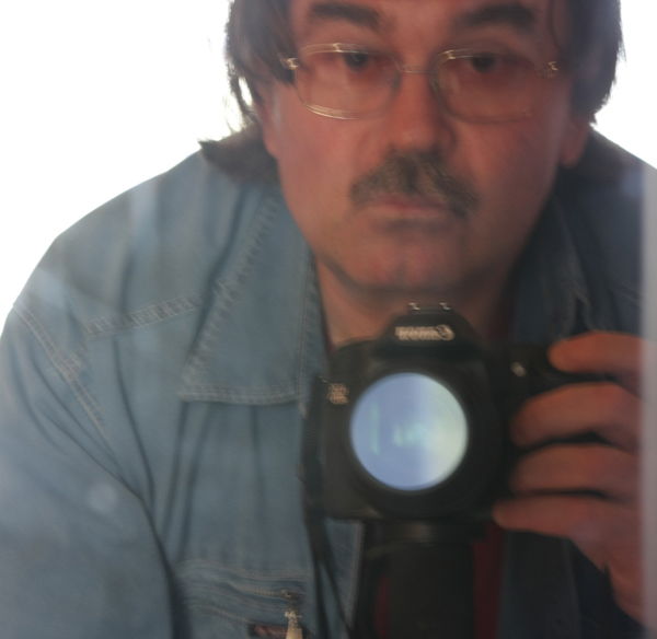 Владимир Ламзин