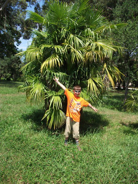 Дмитрий Хайрутдинов