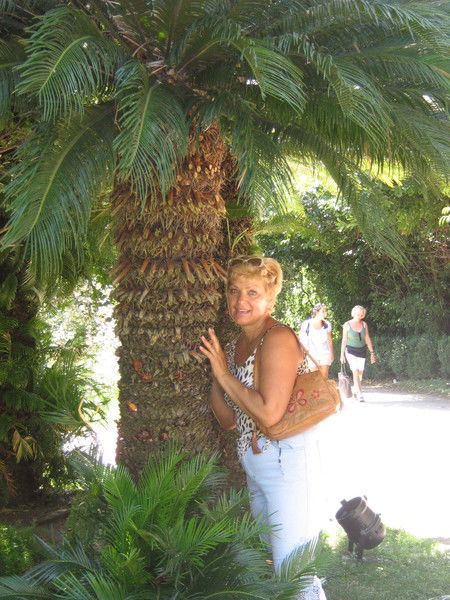 Галина Лисовая