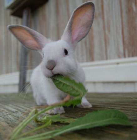 Мария Зайкина
