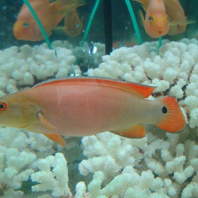 Лилия Хамидуллина